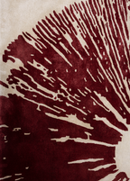 Stamped — Venjara Carpets