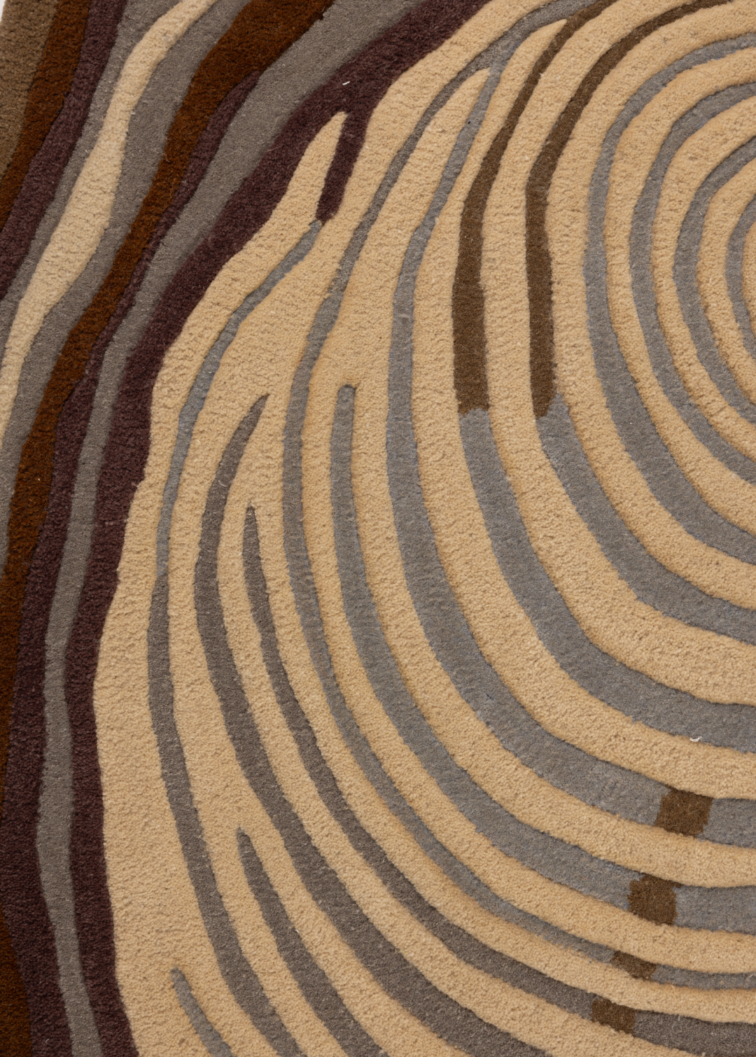 Oyster — Venjara Carpets