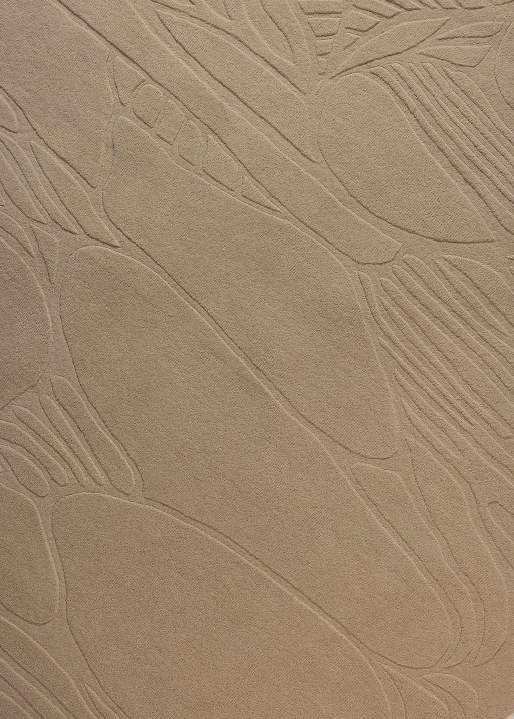 Metamorphosis — Venjara Carpets