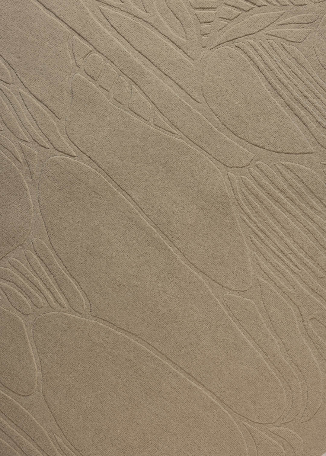 Metamorphosis — Venjara Carpets