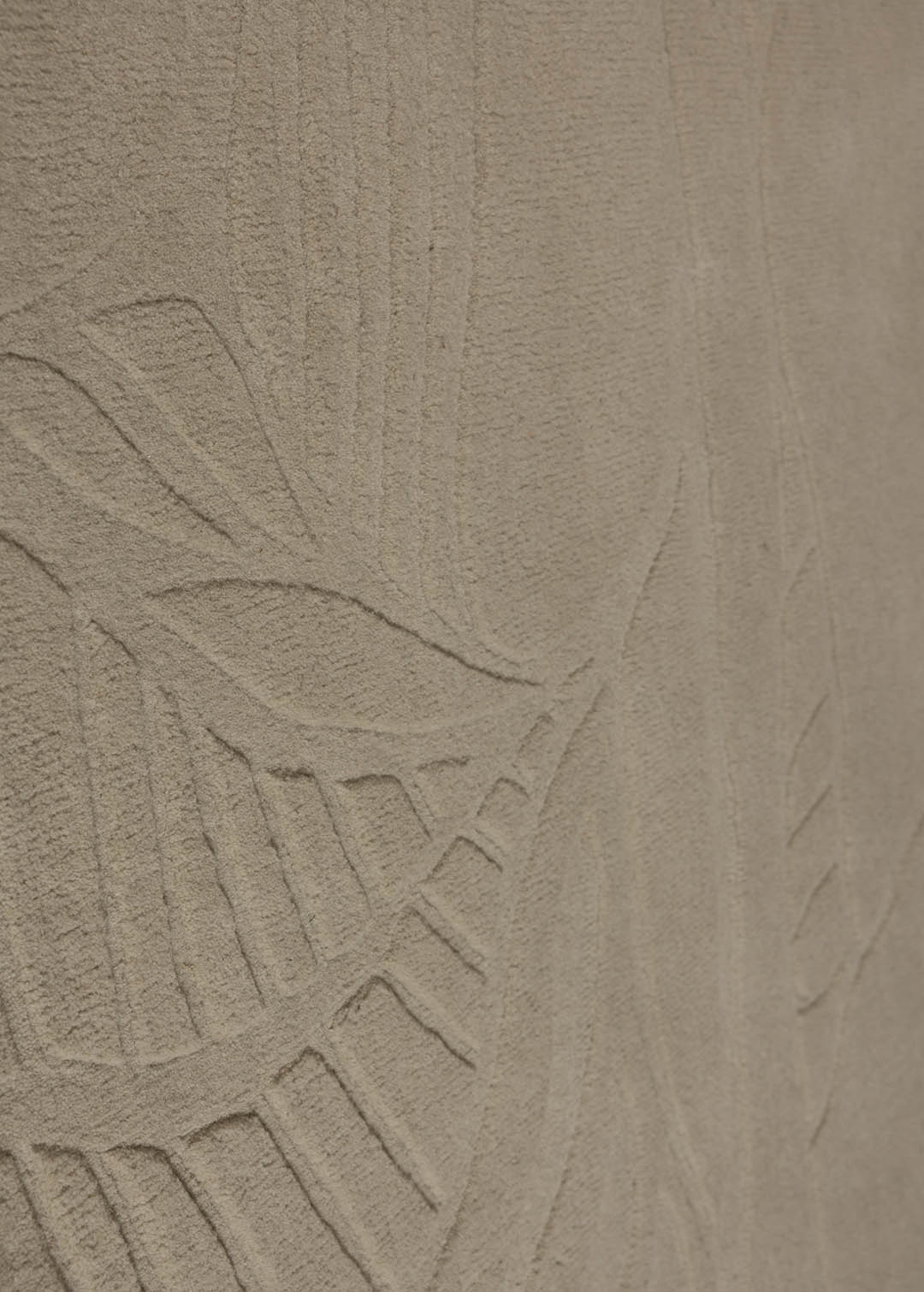 Metamorphosis — Venjara Carpets