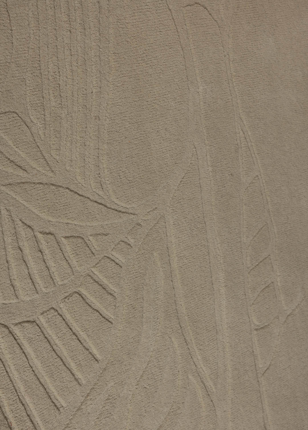 Metamorphosis — Venjara Carpets