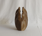 Centennial Mollusk