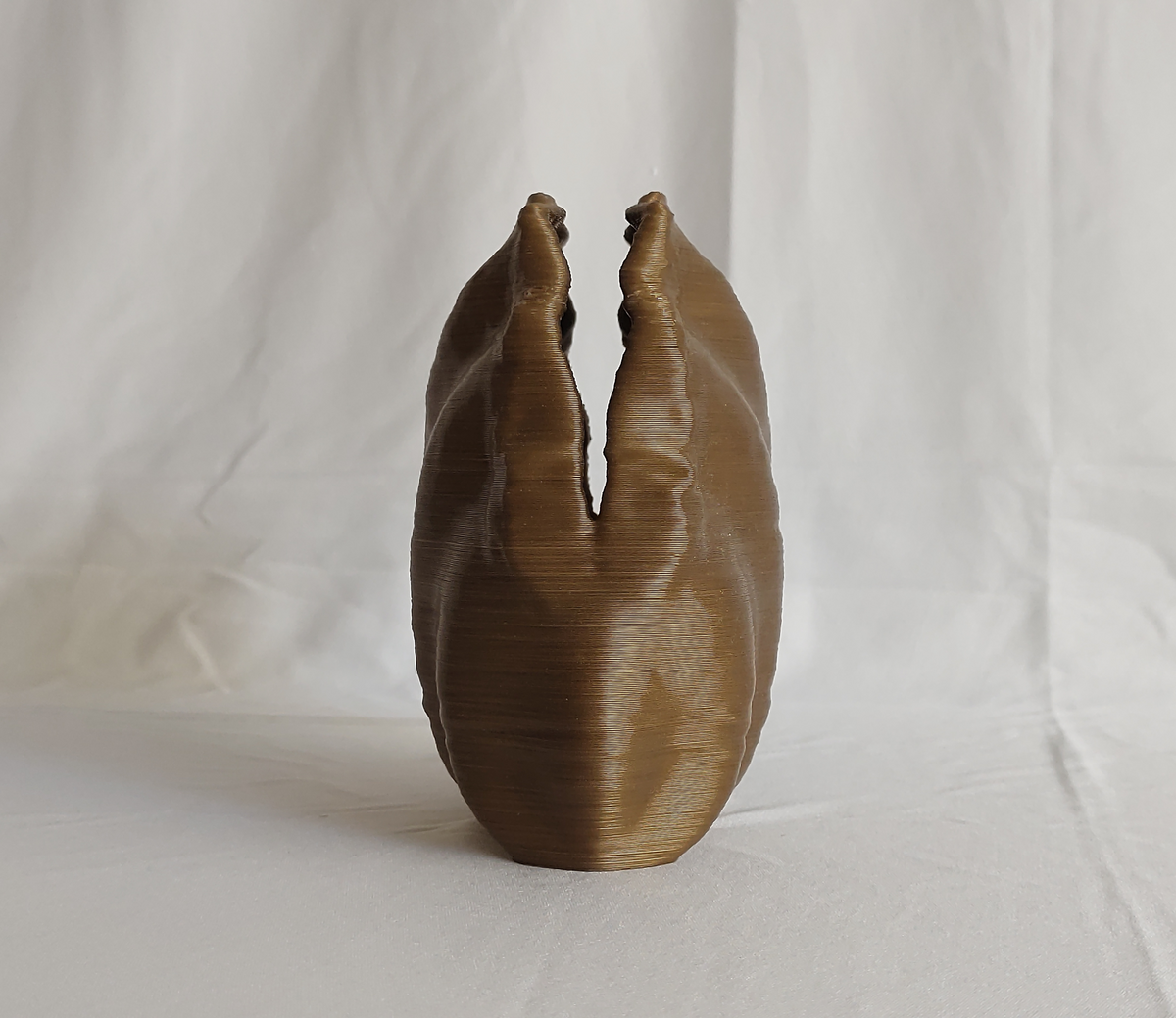 Centennial Mollusk