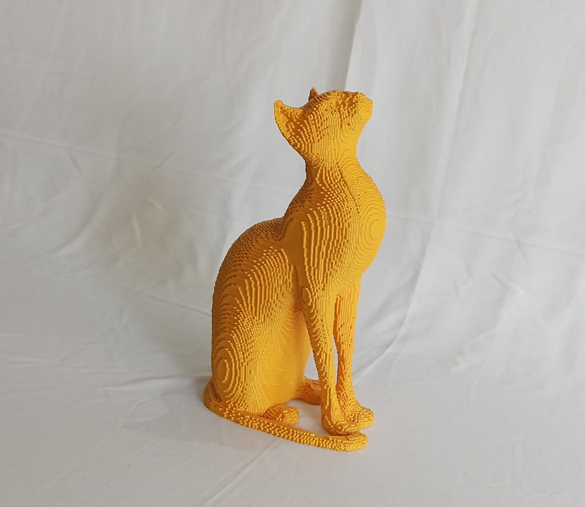 Aurous Feline