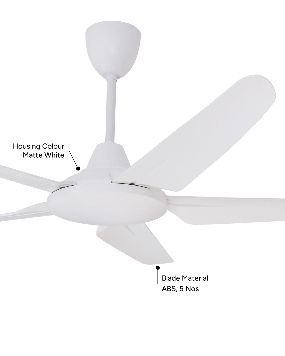 Race DC - Simply Modern Fan