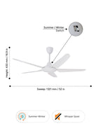 Race AC- Simply Modern Fan