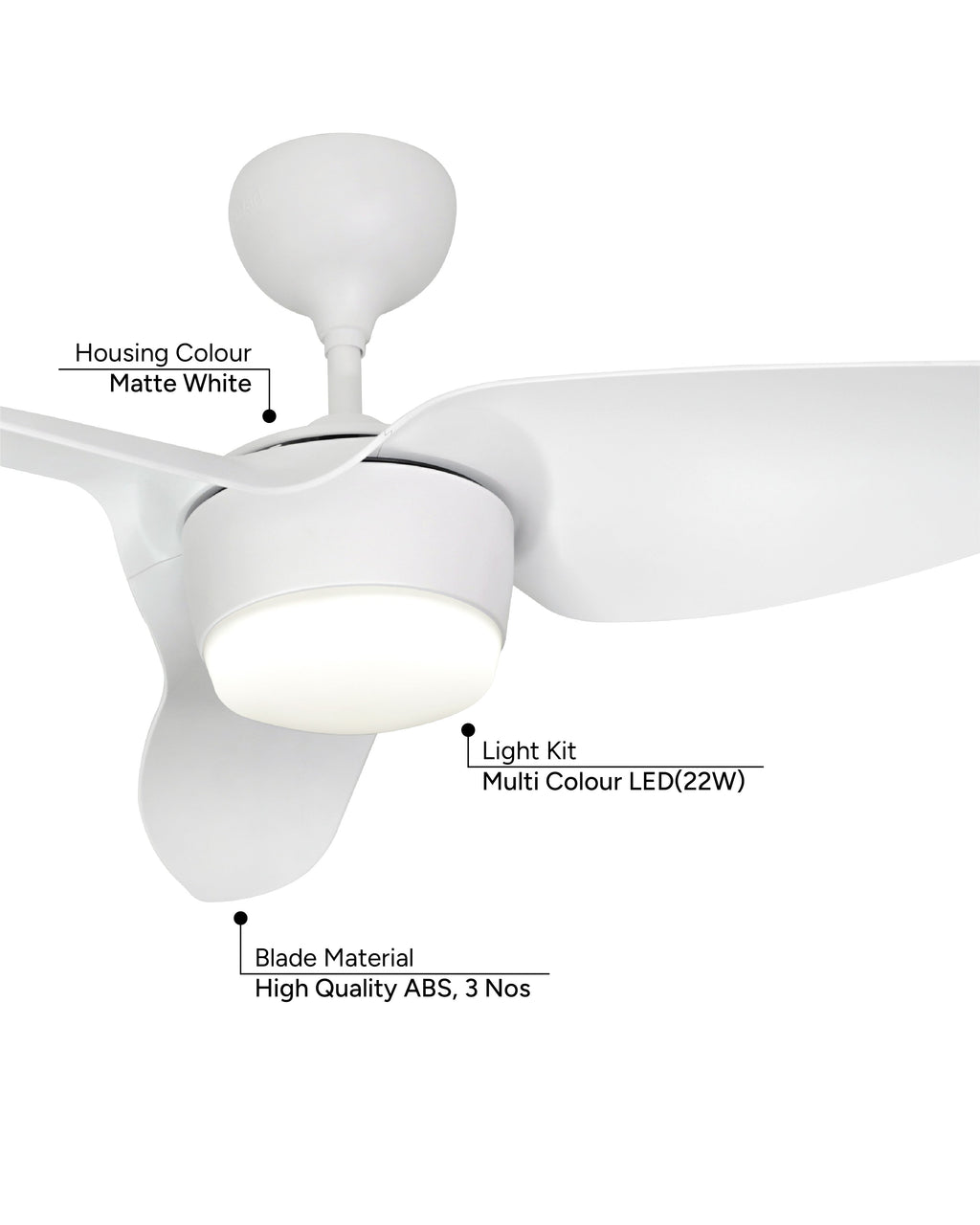 Swan- Simply Modern Fan