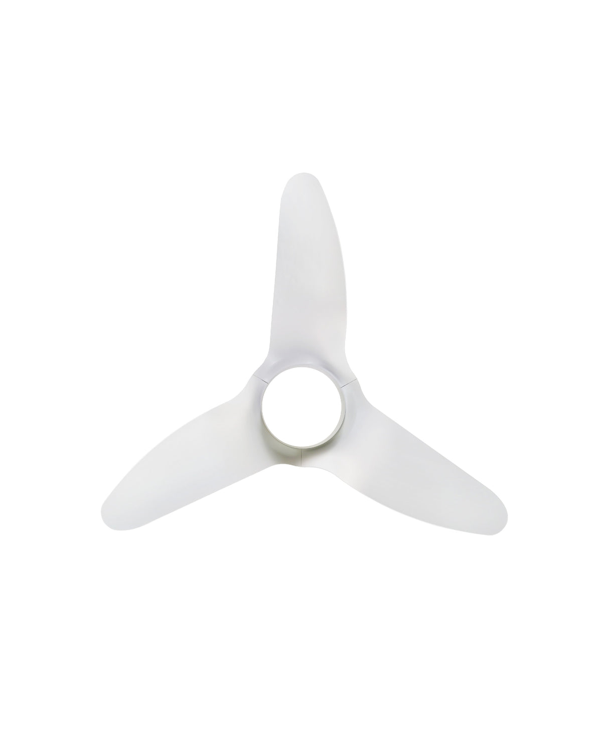 Swan- Simply Modern Fan