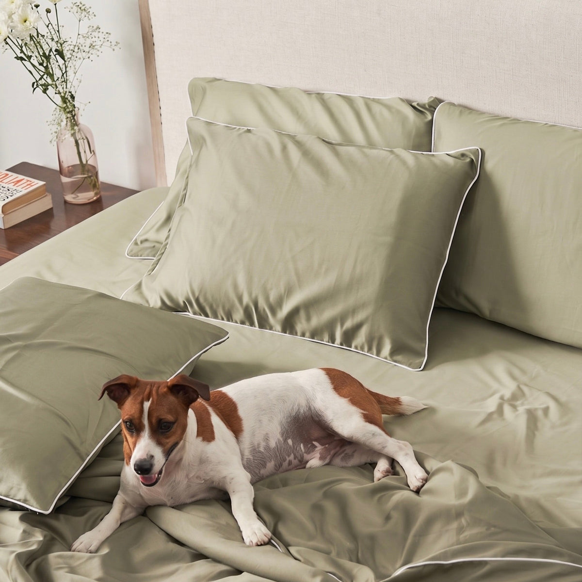 Piping Hotel Pillowcase Pair | 300 Thread Count | Extra Large | Sage