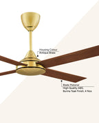 Vienna DC- Simply Modern Fan