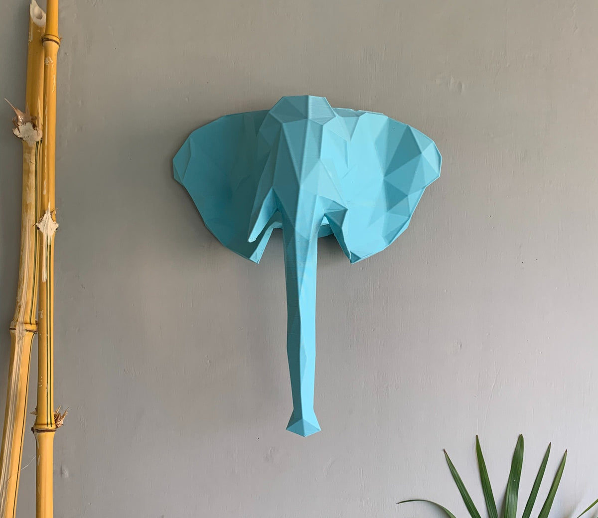 Pacific Tusker